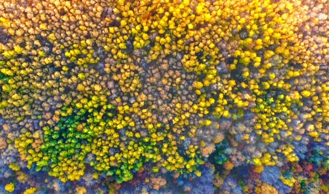 赤峰独特视角,能俯瞰赤峰市区全景的地方