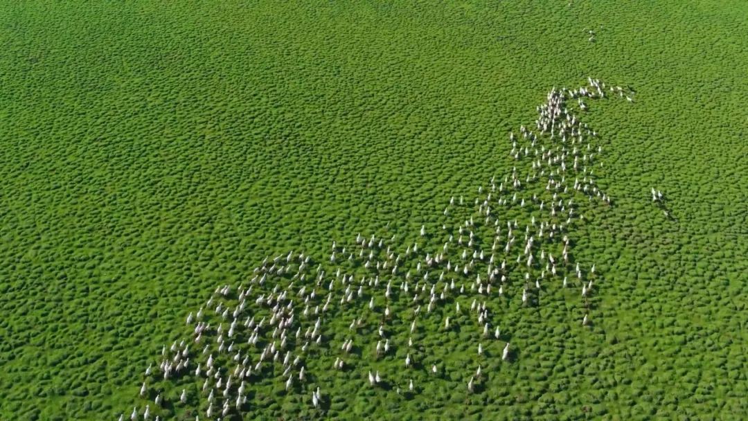 赤峰独特视角,能俯瞰赤峰市区全景的地方