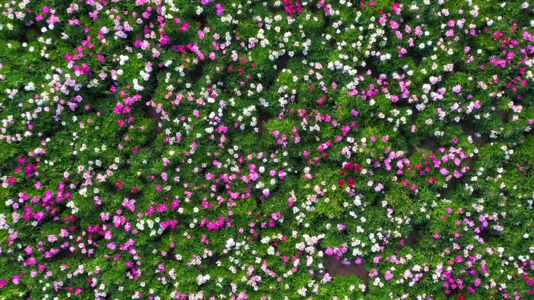 赤峰独特视角,能俯瞰赤峰市区全景的地方