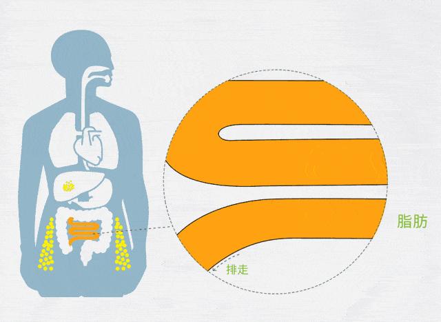 日本身体刮油神器推荐,日本超级好用的利器