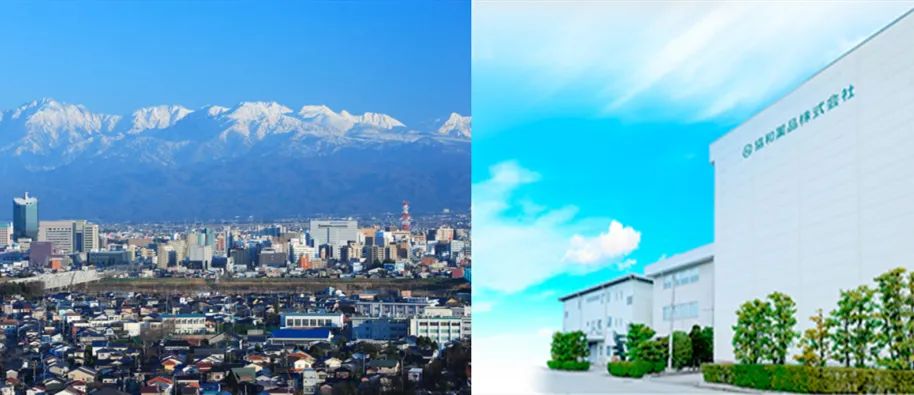 日本身体刮油神器推荐,日本超级好用的利器