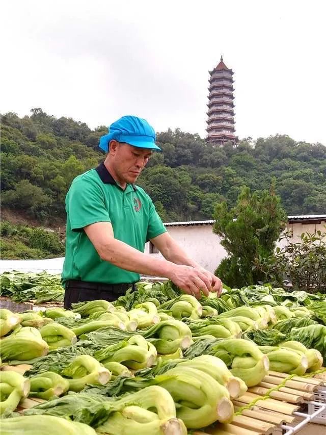 黄圃美食视频,舌尖上的黄馍馍