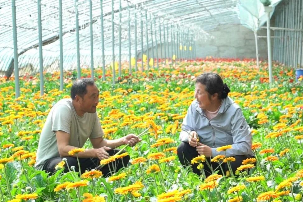 中国福彩公益资金,山东彩票公益金筹集