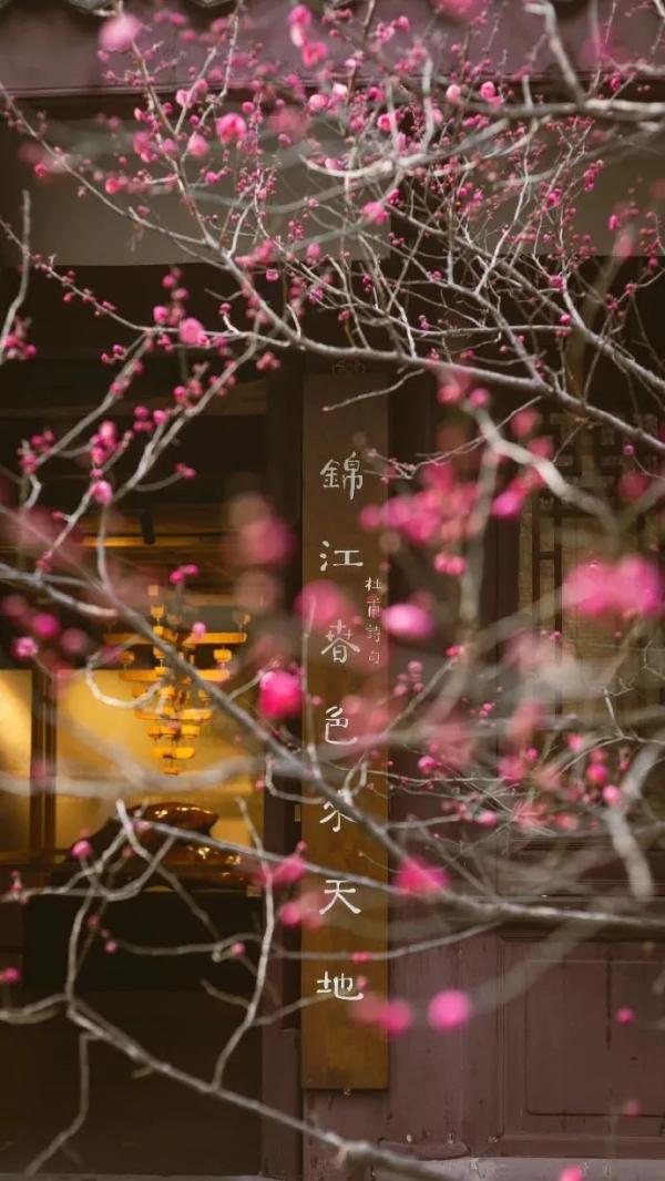 成都2022春节打卡地点,2022成都春节打卡地排行榜