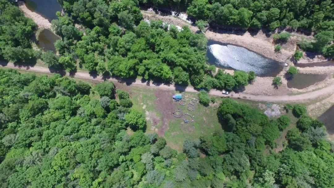 长白山椴树雪蜜礼盒,长白山农家椴树蜜