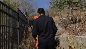 厦门航空偷拍事件后续处理,厦门一女子被偷拍