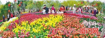 超强攻略玩转厦门,厦门旅游攻略带什么东西