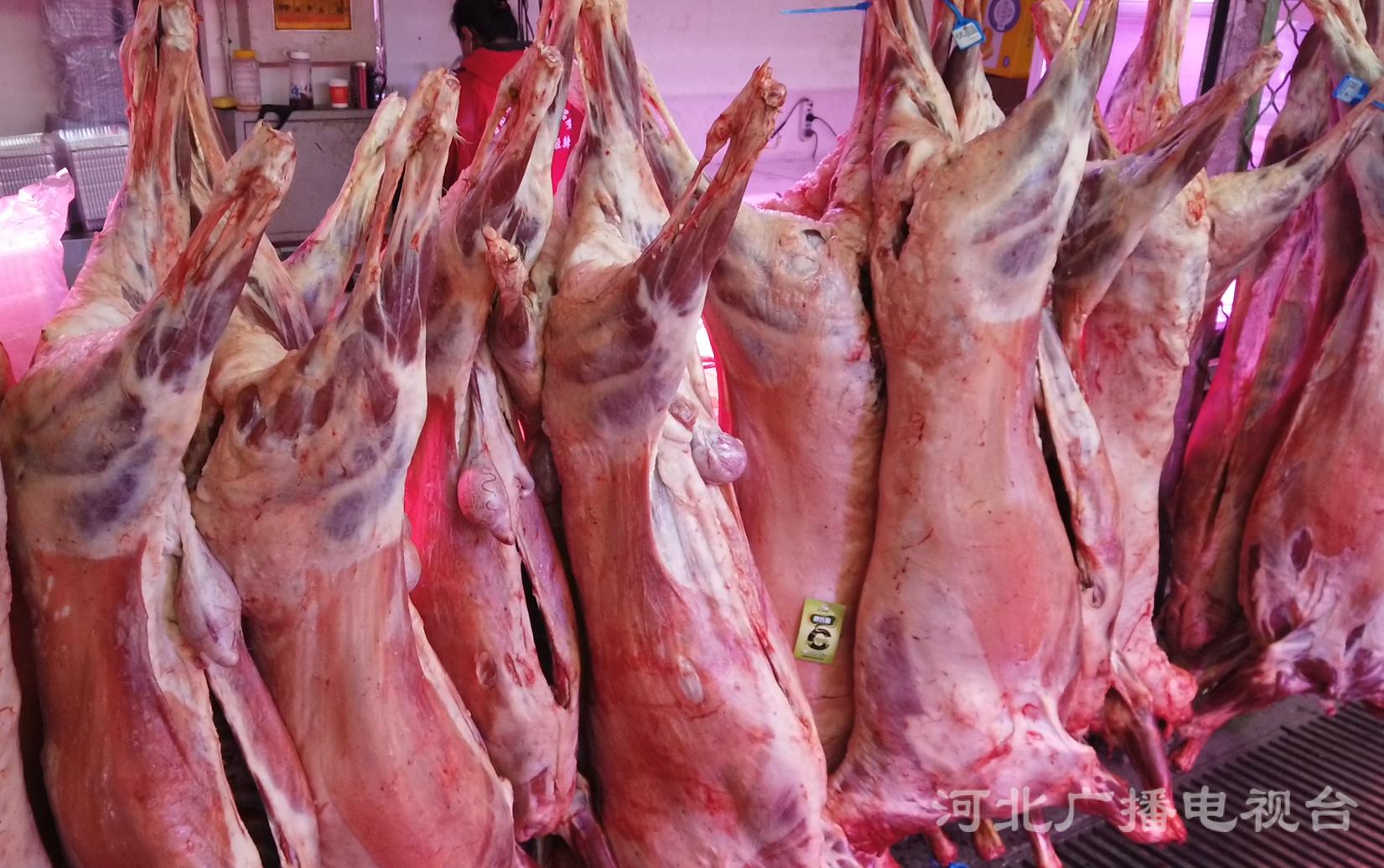 石家庄东大街年货市场,石家庄标准化便民市场