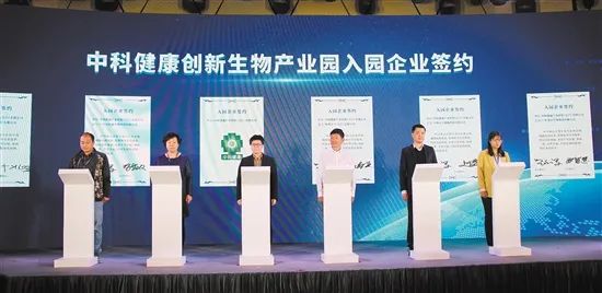 蓬江区千亿gdp强区,千亿强区新会