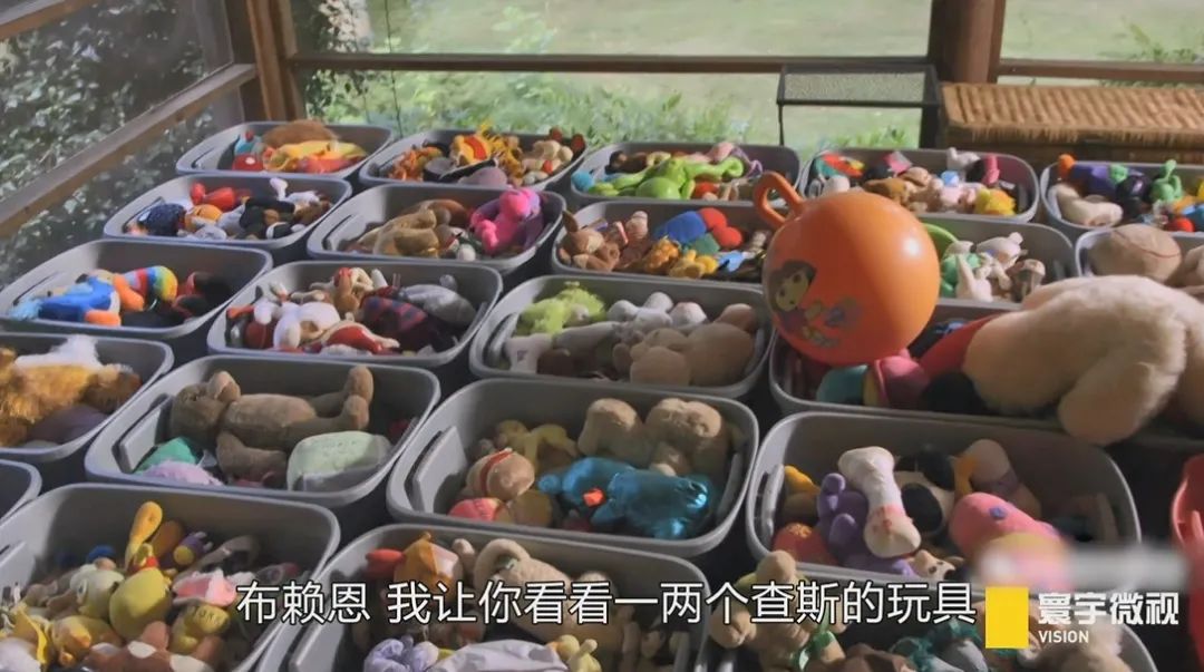 狗狗能记住的单词,狗狗的英文单词是什么