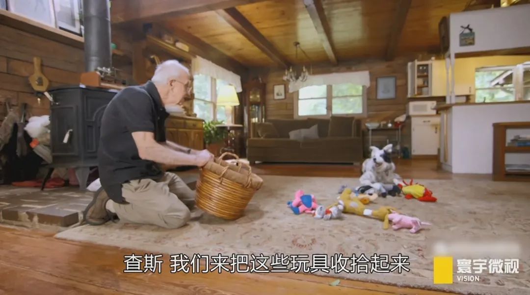 狗狗能记住的单词,狗狗的英文单词是什么