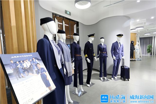 迪尚集团业务,迪尚集团最新规划图