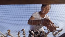 最简单的食材也能勾起最大的食欲,简单的食材也能让人瞬间很有食欲