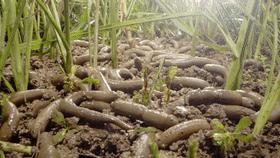 最简单的食材也能勾起最大的食欲,简单的食材也能让人瞬间很有食欲