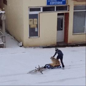 永胜幼儿园招聘电话,丽江永胜幼儿园教师招聘