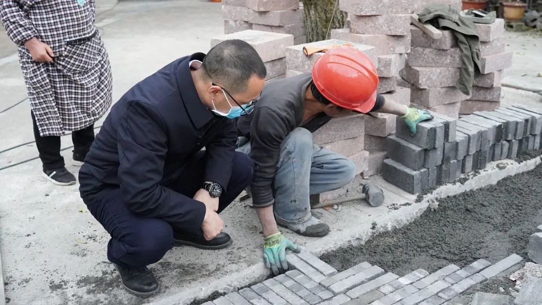 匠心铸城实干复兴丨住龙镇：唱好红色主旋律走好绿色生态路开启“红绿融合”新篇章