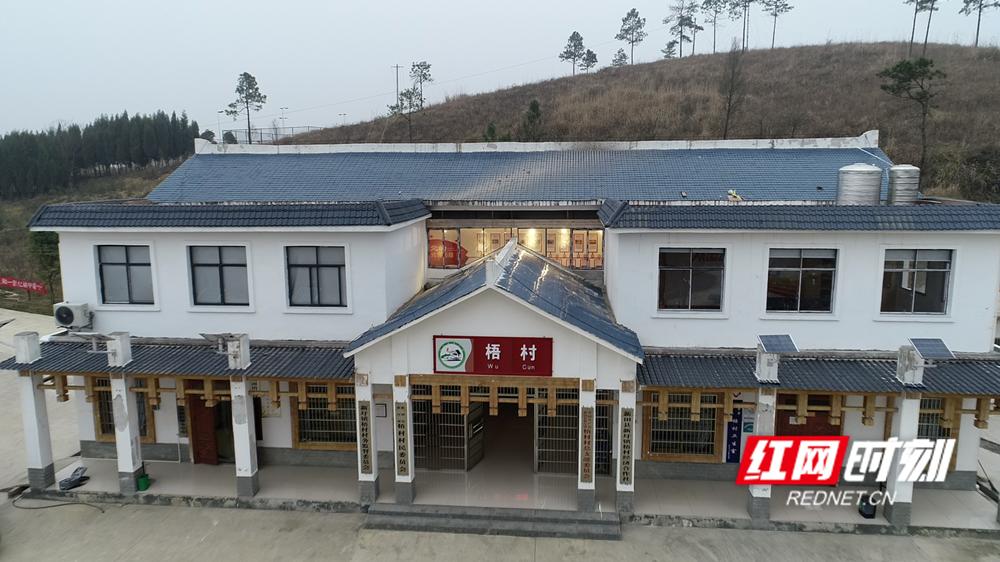 河南贫困学子圆梦大学,乡村脱贫奔小康有志青年助力忙