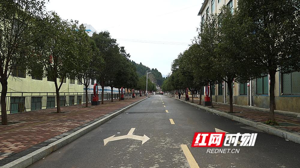 河南贫困学子圆梦大学,乡村脱贫奔小康有志青年助力忙