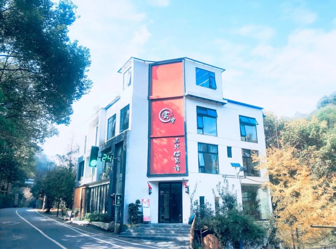 青城山开了家很网红的民宿,民宿探店成都