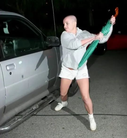 小甜甜布兰妮经历了什么,小甜甜布兰妮如何被解救