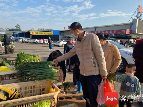 大白菜2.5元一斤,现在的菜价小白菜多少钱一斤