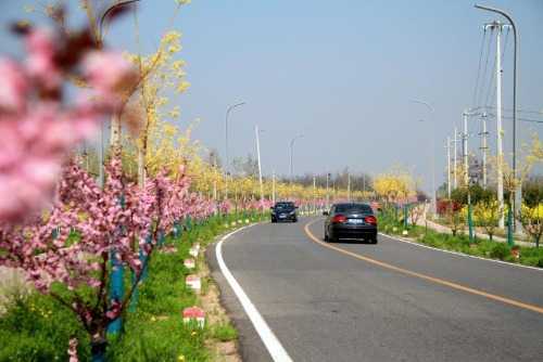 孟州经济增速,孟州成绩