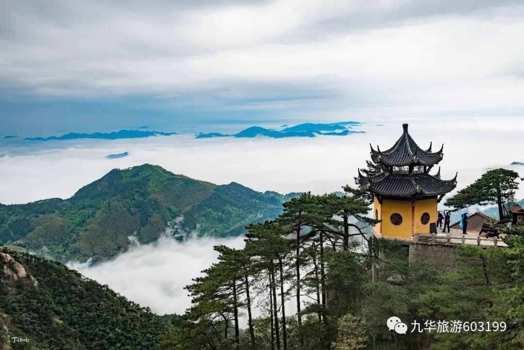 葫芦岛九华山风景区现在开放了吗,九华山风景区免门票最新