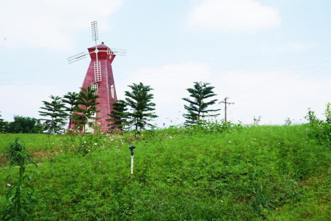 玉林五一3-5天短途旅游推荐,春节广西玉林旅游攻略