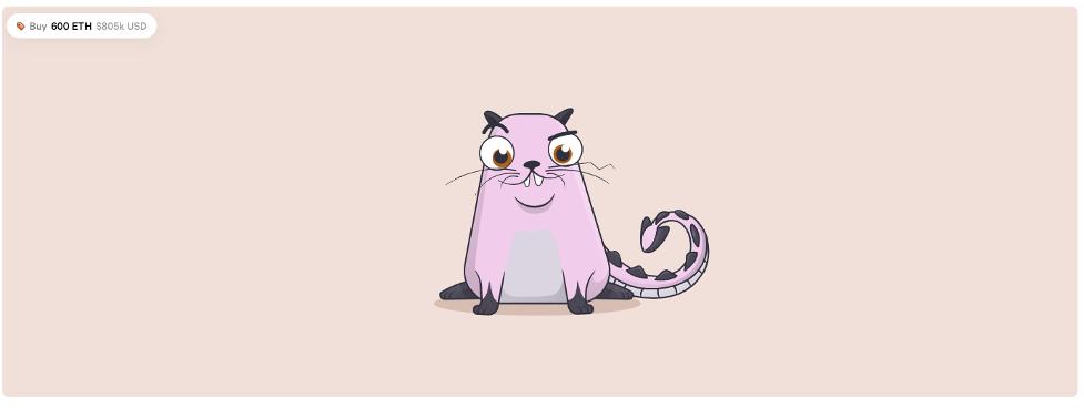 加密猫cryptokitties,加密猫是什么软件