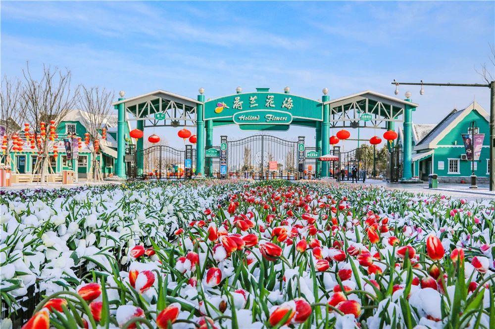 带你看盐城风景,牛年看牛展2021新春展等你来打卡