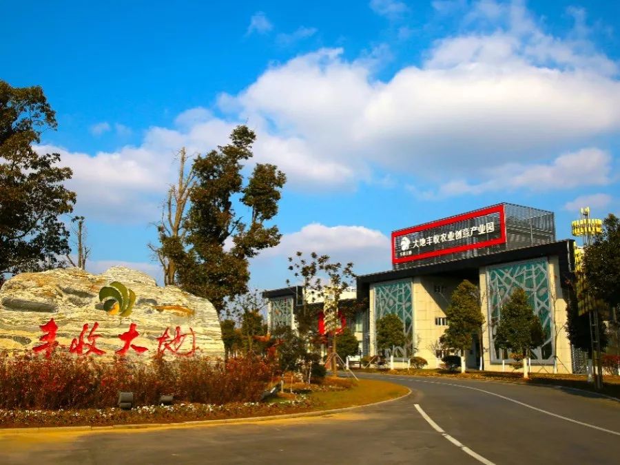 带你看盐城风景,牛年看牛展2021新春展等你来打卡