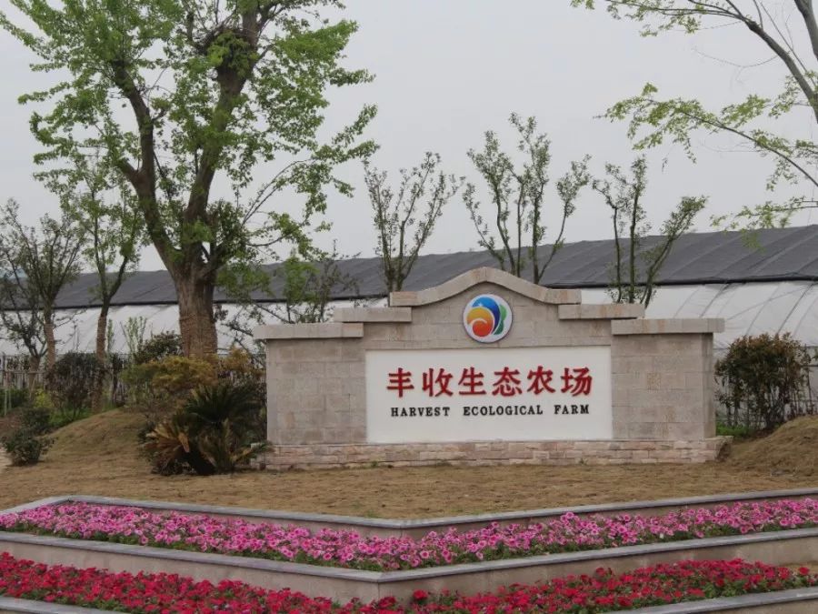 带你看盐城风景,牛年看牛展2021新春展等你来打卡