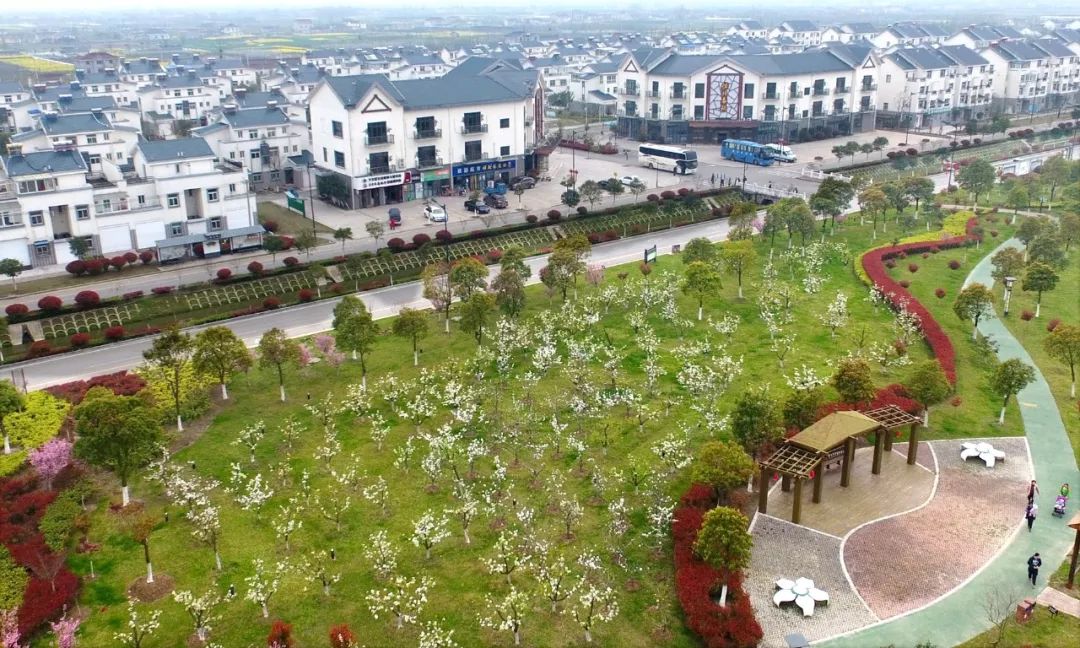 带你看盐城风景,牛年看牛展2021新春展等你来打卡