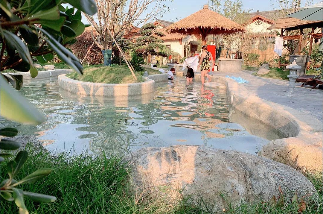 带你看盐城风景,牛年看牛展2021新春展等你来打卡