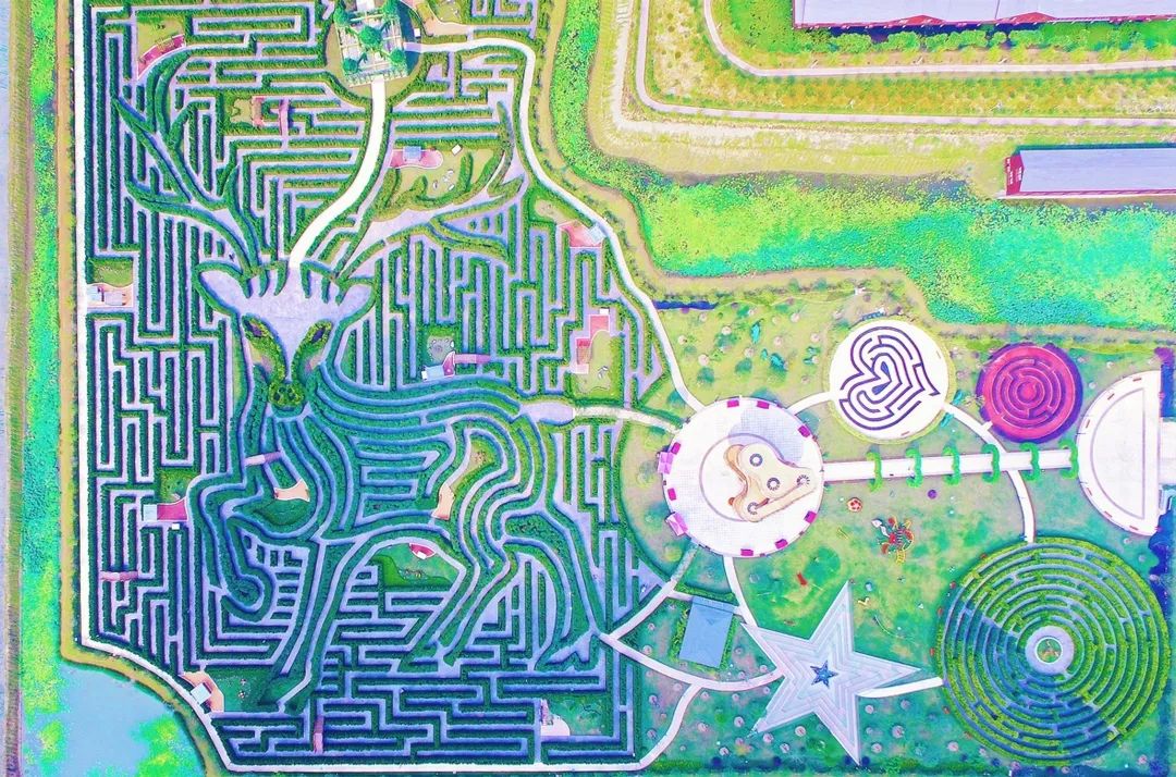 带你看盐城风景,牛年看牛展2021新春展等你来打卡