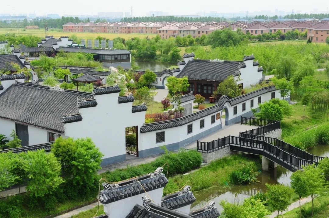 带你看盐城风景,牛年看牛展2021新春展等你来打卡