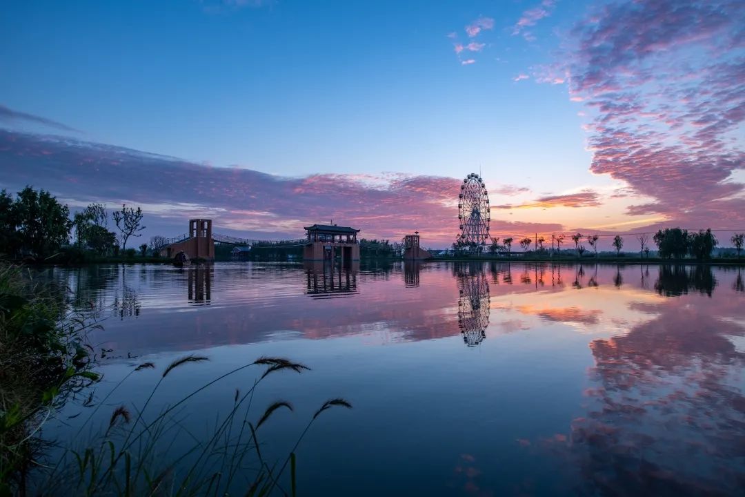 带你看盐城风景,牛年看牛展2021新春展等你来打卡