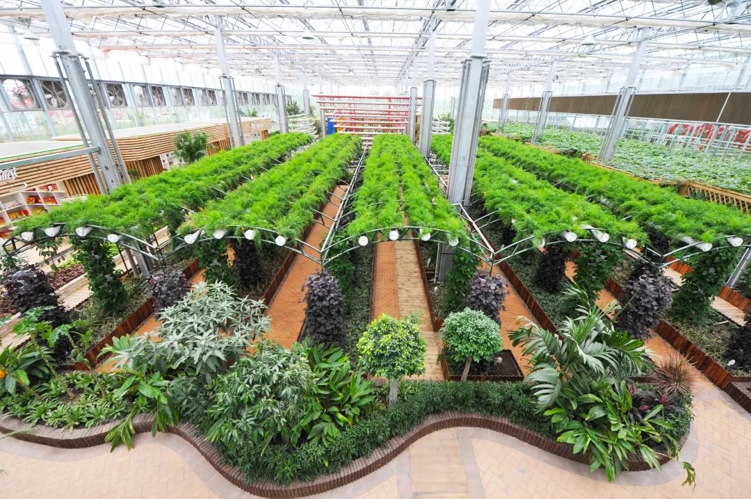 带你看盐城风景,牛年看牛展2021新春展等你来打卡