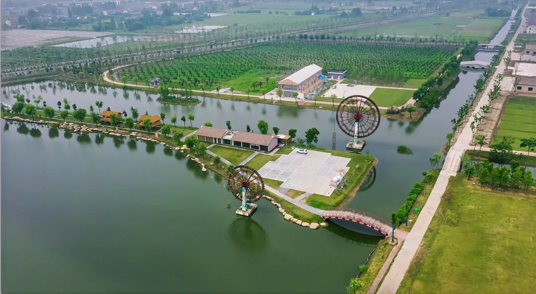 带你看盐城风景,牛年看牛展2021新春展等你来打卡