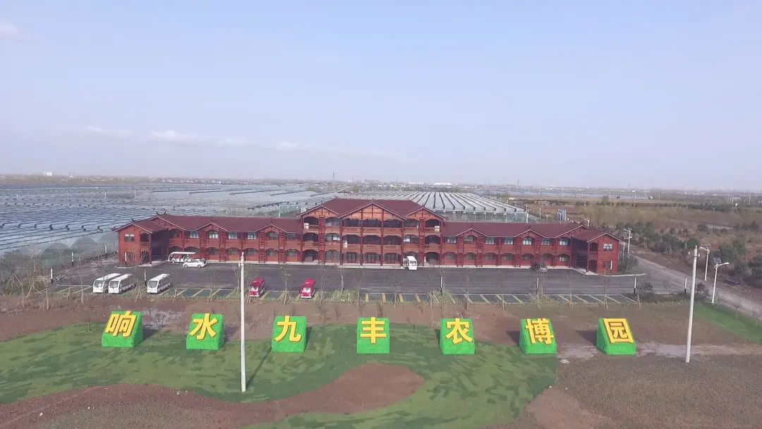 带你看盐城风景,牛年看牛展2021新春展等你来打卡