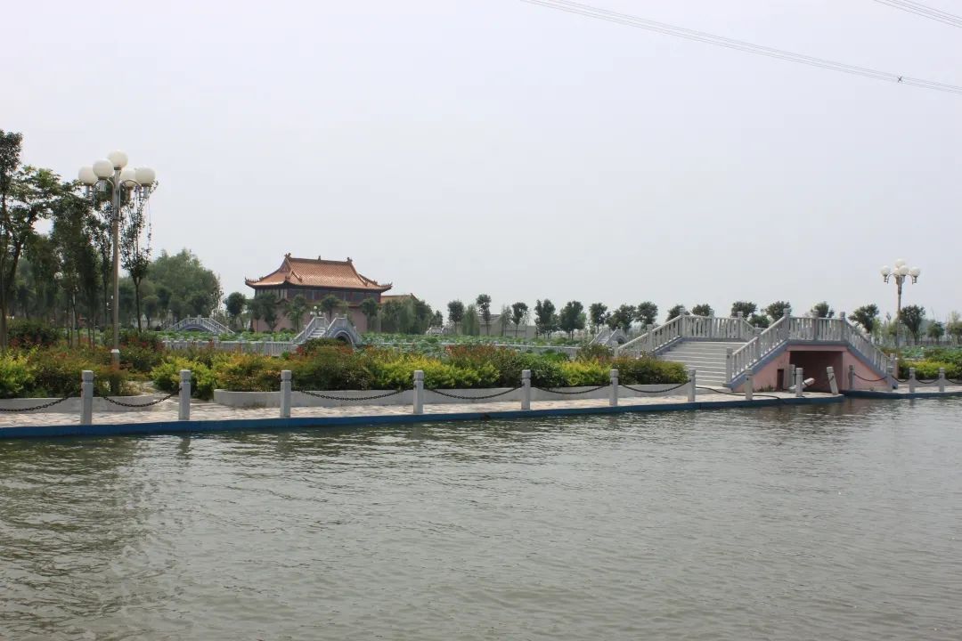 带你看盐城风景,牛年看牛展2021新春展等你来打卡