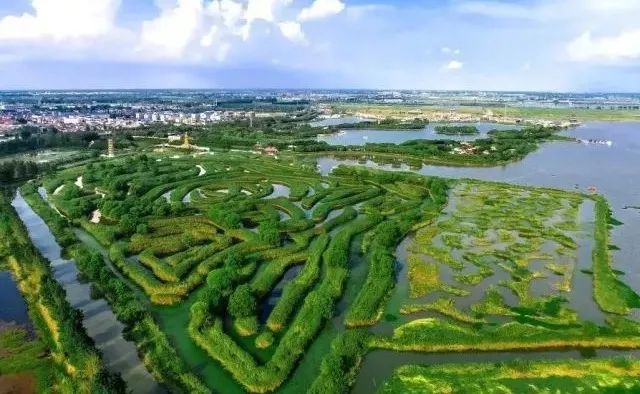 带你看盐城风景,牛年看牛展2021新春展等你来打卡