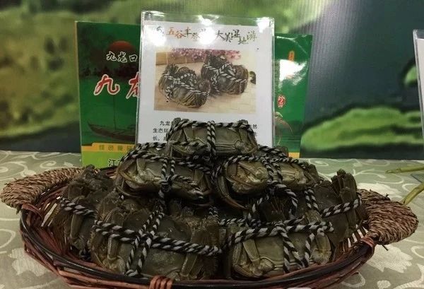 带你看盐城风景,牛年看牛展2021新春展等你来打卡