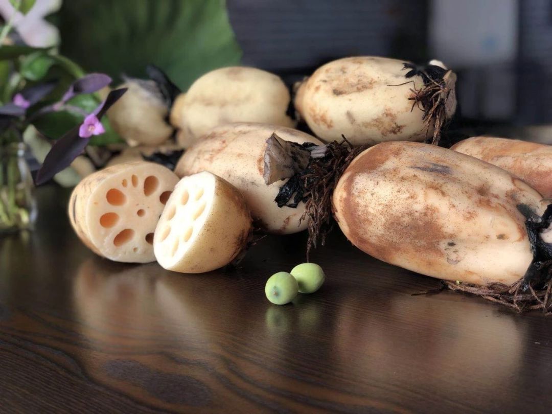 带你看盐城风景,牛年看牛展2021新春展等你来打卡