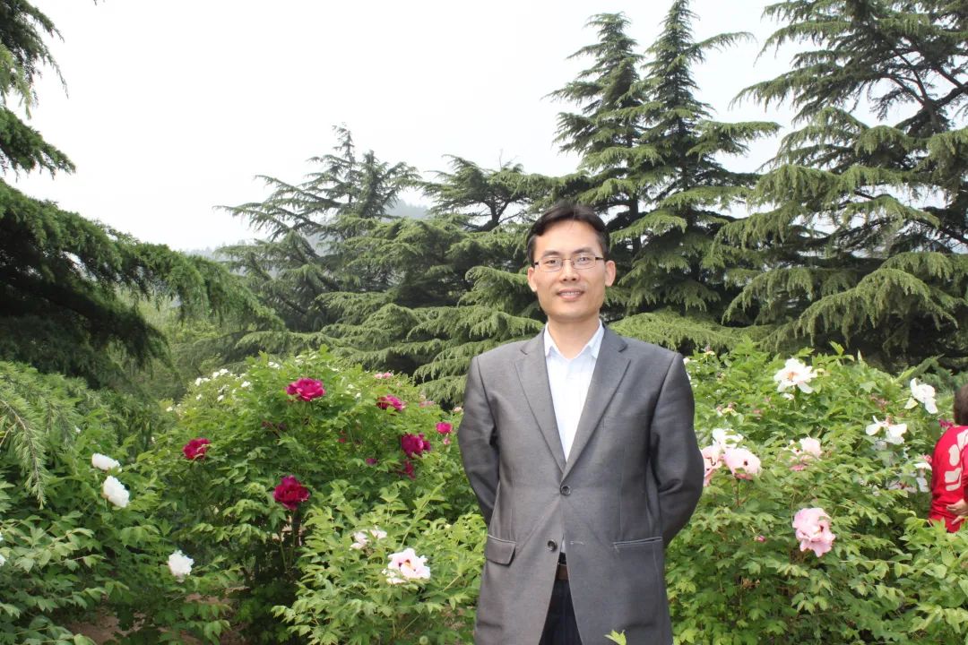 2020年全国法院十大商事案例,全国十大商事案件