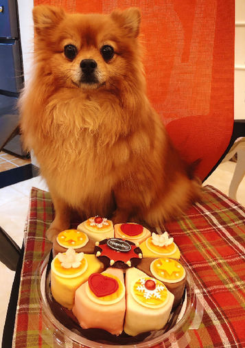 听说你图都p好啦?就等今天除夕发