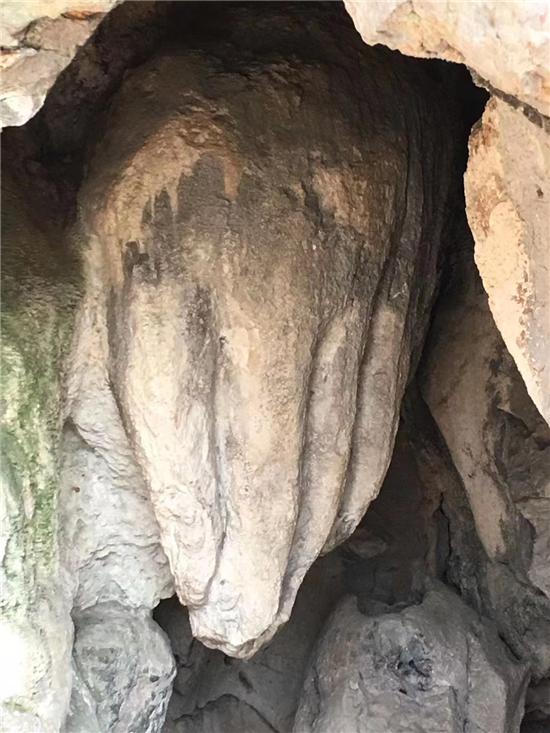 新年登高祈福活动,新年登高祈福