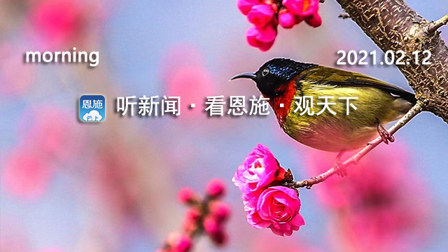 听新闻听知天下事,听新闻知天下视频