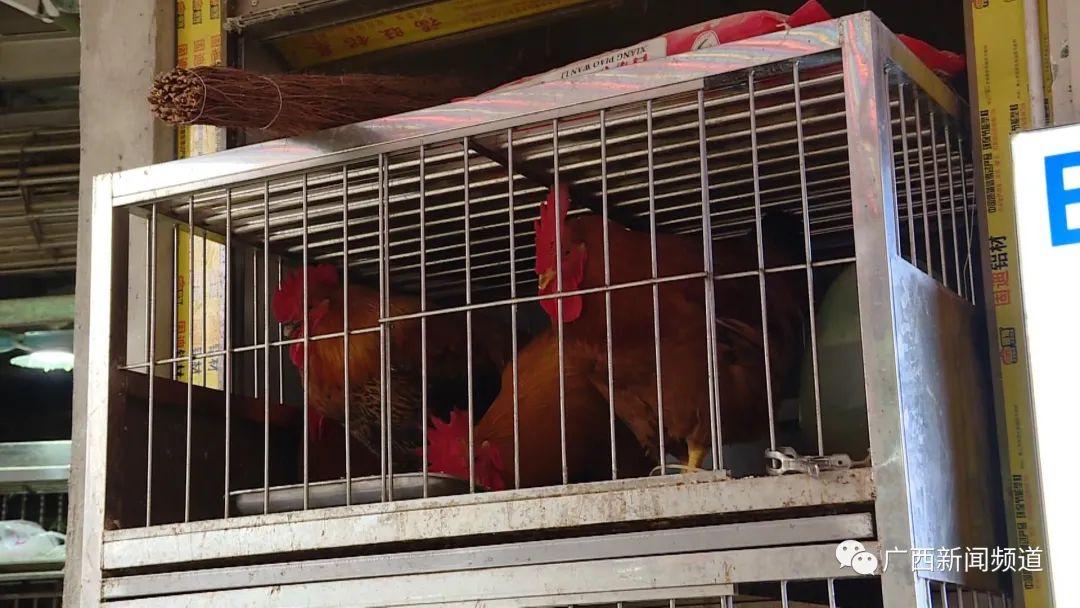 无鸡不成宴怎么说,无鸡不成宴做法