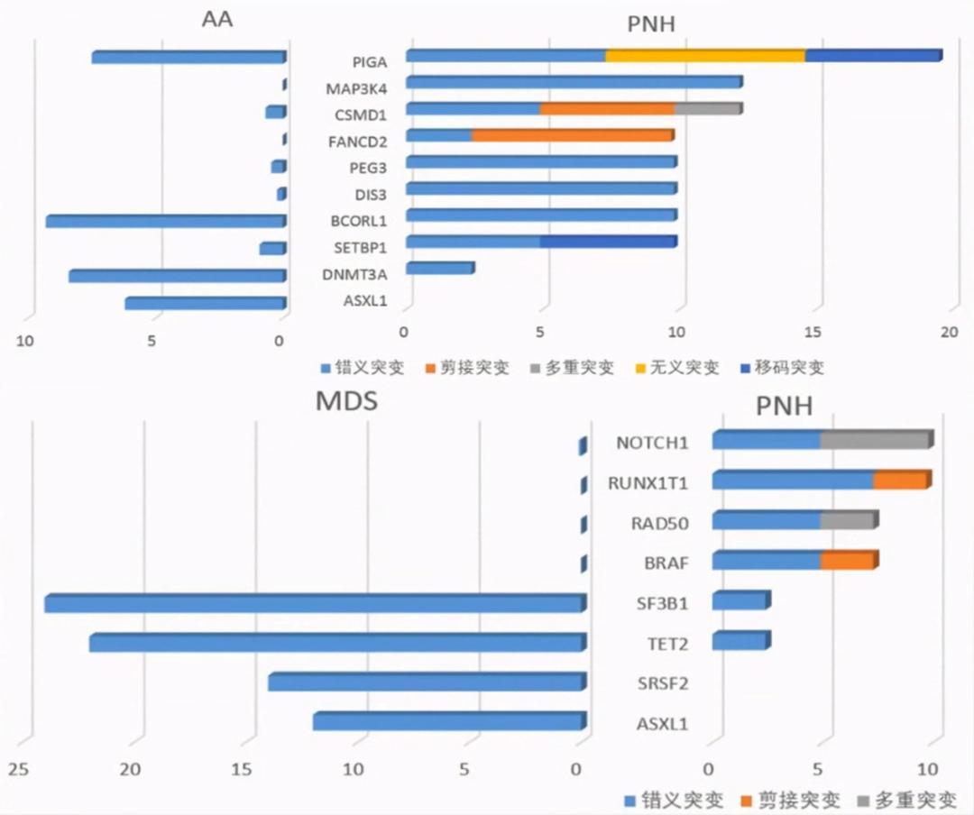 韩冰教授:PNH热点问题解析丨中国血液学发展大会